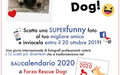 Concorso fotografico 2019