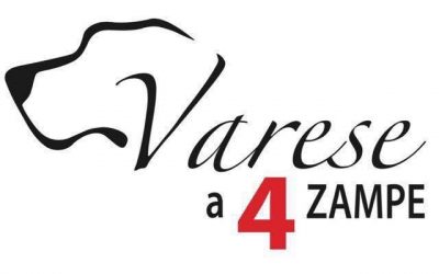 Varese a 4 zampe