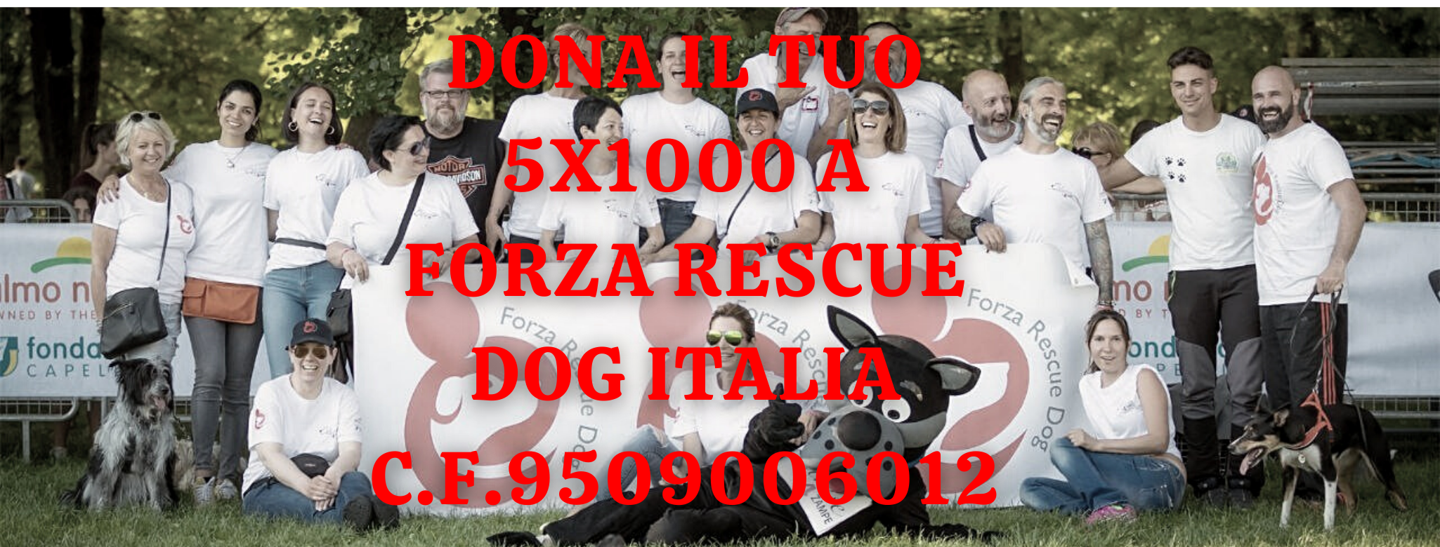 DONA IL TUO 5X1000 A FORZA RESCUE DOG ITALIA C.F.95090060120