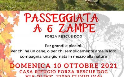 Passeggiata a 6 zampe 10 Ottobre 2021