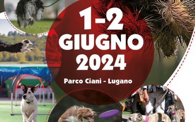 Lugano a 4 zampe 2024
