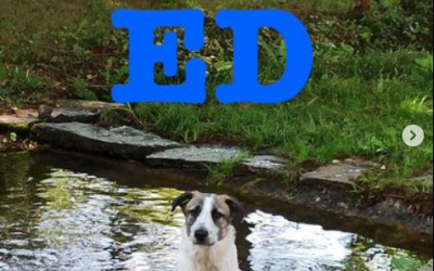 Adottato  – Ed