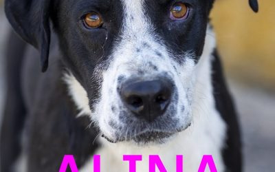 Amici in adozione – Alina