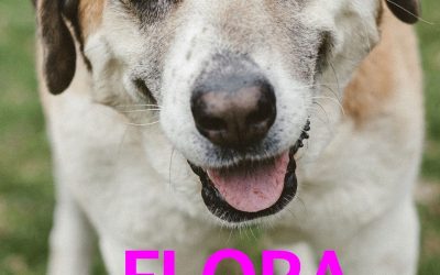 Amici in adozione – Flora