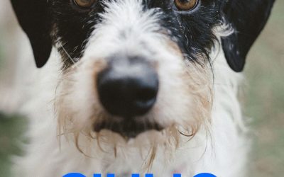 Riservato – Giulio