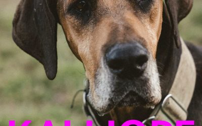 Amici in adozione – Kalliope