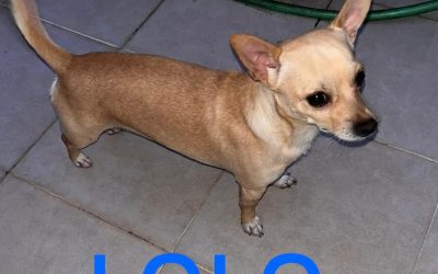 Riservato – Lolo