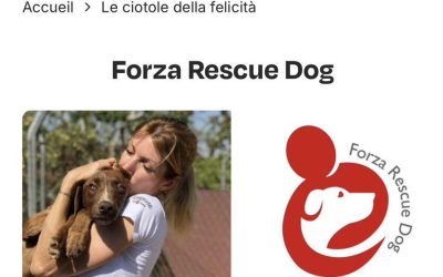 Ciotole della Felicità