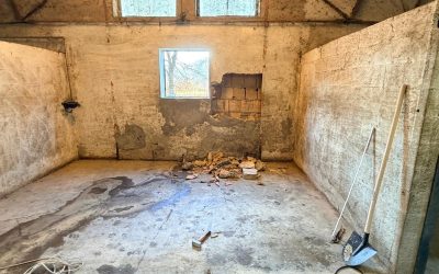 Project Forza: si parte!