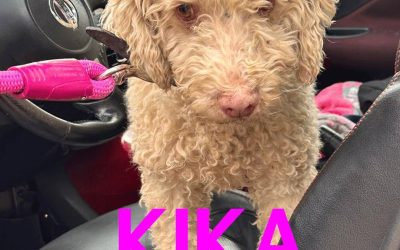 Amici in adozione – Kika
