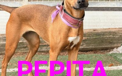 Riservata – Pepita
