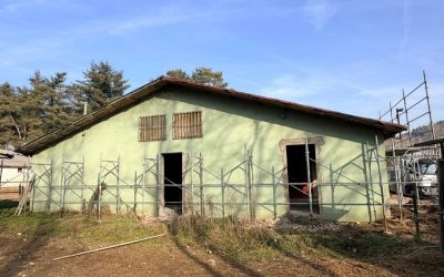 Project Forza: aggiornamento