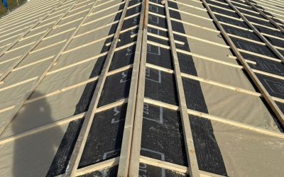 Project Forza: aggiornamento