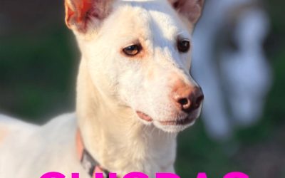 Riservata – Chispas