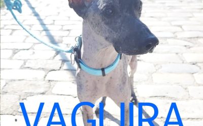 Amici in adozione – Vaguira