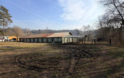 Project Forza: Cercasi posatore di recinzioni