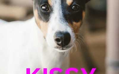 Amici in adozione – Kissy