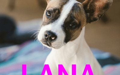 Riservata – Lana