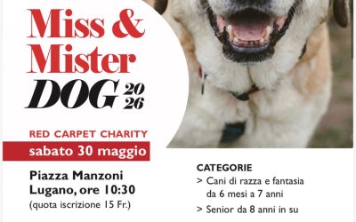 MISS & MISTER DOG 2026 – RED CARPET CHARITY