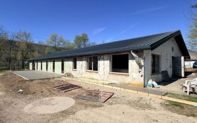 Project Forza: aggiornamento del 05.04