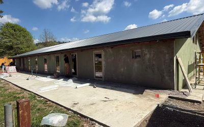 Project Forza: aggiornamento del 20.04