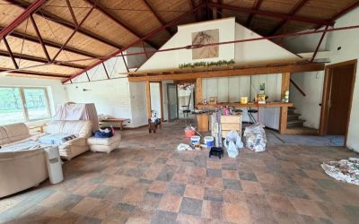 Project Forza: aggiornamento del 26.04