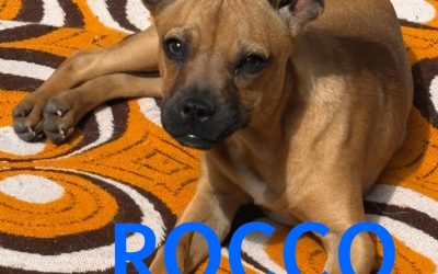Riservato – Rocco