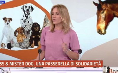 GRAZIE TELETICINO! MISS & MISTER DOG 2026 – RED CARPET CHARITY