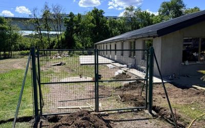 Project Forza: aggiornamento del 24.05