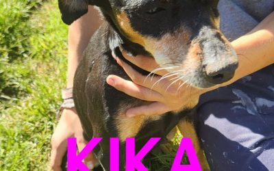 Amici in adozione – Kika