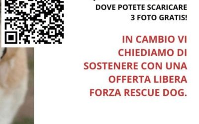 LE FOTO DI MISS & MISTER DOG 2026 – RED CARPET CHARITY