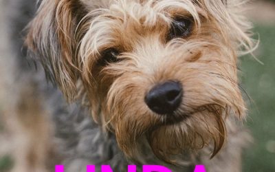 Amici in adozione – Linda