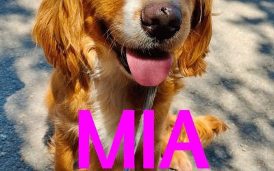 Amici in adozione – Mia