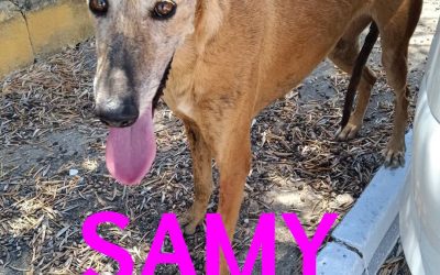 Riservata – Samy
