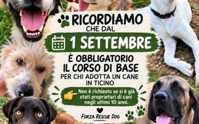 NUOVE REGOLE PER I CANI IN TICINO