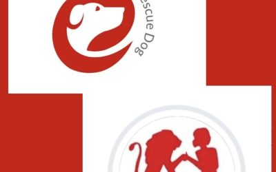 Una nuova collaborazione, una nuova forza!