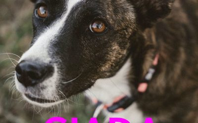 Amici in adozione – Giada