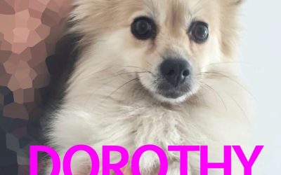 Amici in adozione – Dorothy